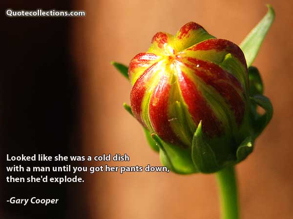 Gary Cooper Quotes3